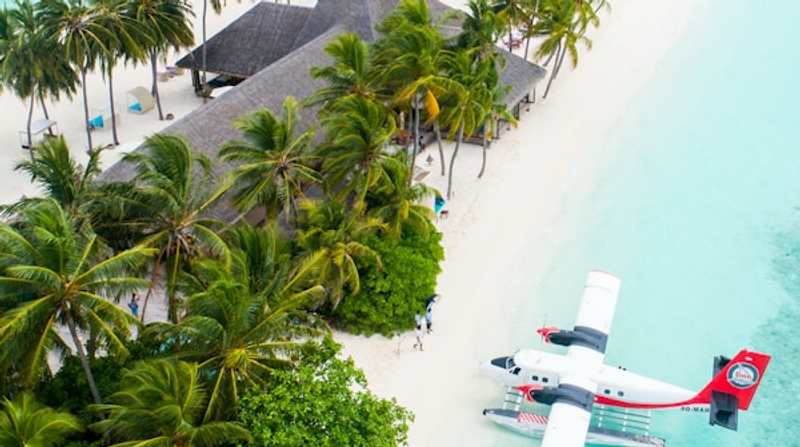 Plane next to a beach house